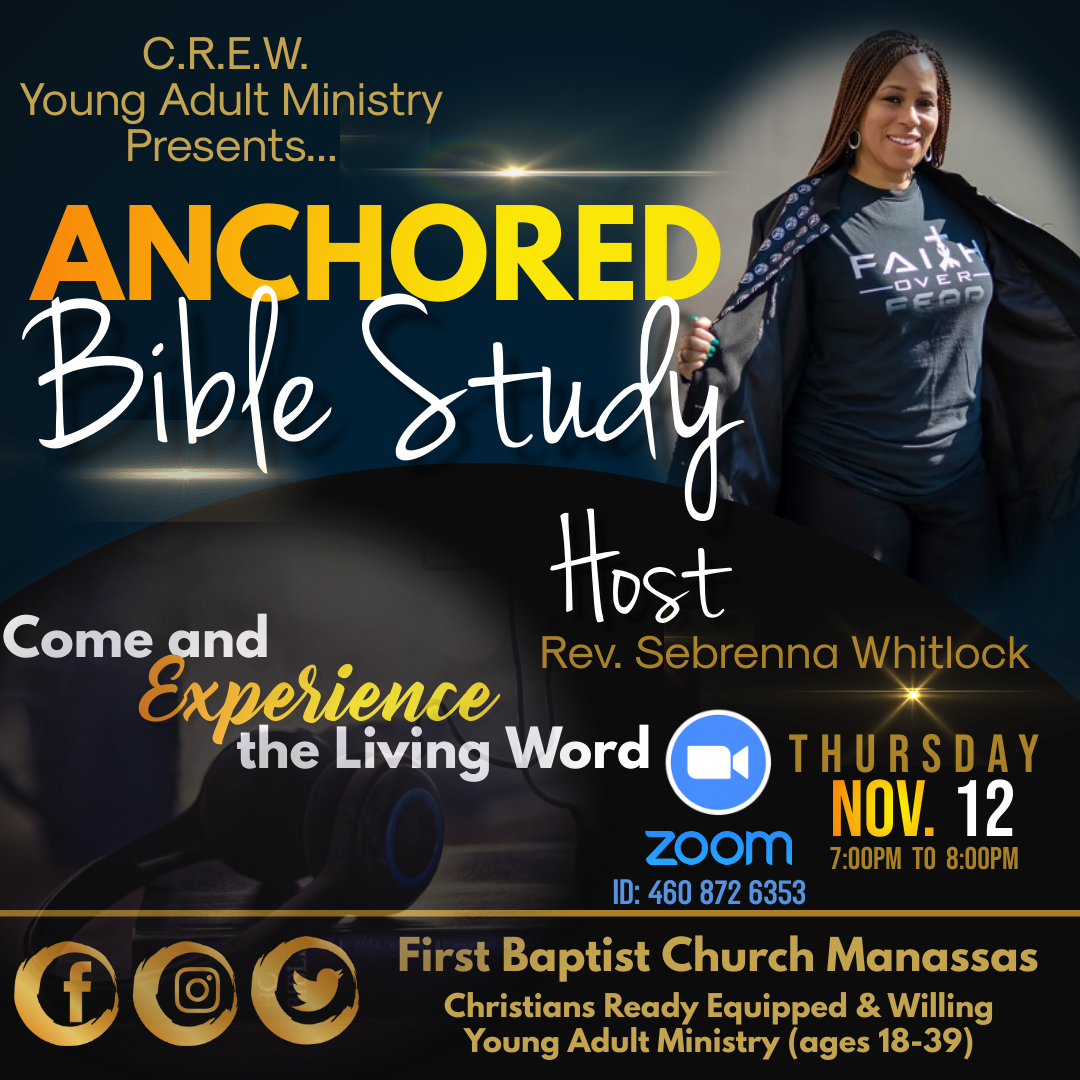 Anchored - Young Adult Bible Study